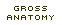 Gross Anatomy