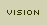 Vision